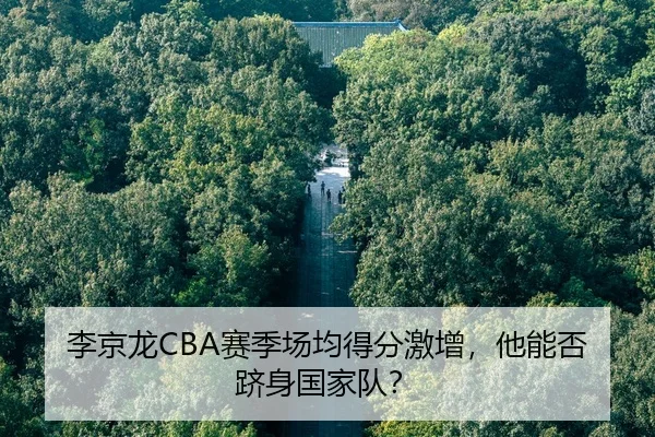 李京龙CBA赛季场均得分激增，他能否跻身国家队？